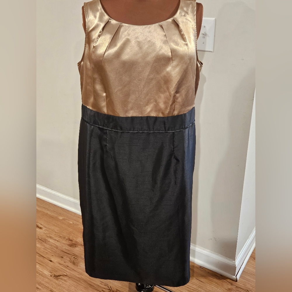 18W (fit smaller) Dana Kay Gold and Black Dress